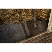 Intergard Stalmatten staltegels paardenstal zwart 100x100cm