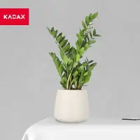 Kadax Bloempot van kunststof, diameter 13-23 cm, 4 kleuren, ovale pot met onderzetter, plantenpot, bloembak, plantenbak, sierpot, diameter 13 cm, beige