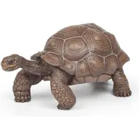 Papo 50161, 3 figuurtjes, Dierenrijk, Bruin, PVC
