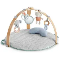Ingenuity Omkeerbare speelmat voor baby, evolutief - Loamy - opvouwbaar, afneembare houten speelboog, 5 speeltjes, babycadeau