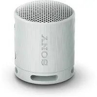 Sony SRS-XB100 Grijs