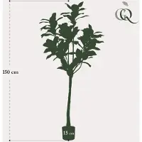 Everspring Kunstplant - Magnolia Grandiflora - Abelia - 150 cm