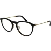 Rodenstock Optical Frame R8031 A000 55 Titanium