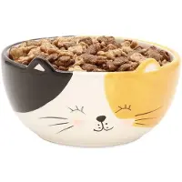 Winkee Kat Schaaltje