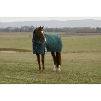 WeatherBeeta Comfitec Plus Dynamic Turnout Afneembare Hals 0G BOSGROEN/NAUTISCH BLAUW 6'5/145cm
