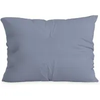 Zelesta Comfort Duo Kussensloop - Ijsblauw 80x80cm