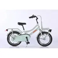 Zonix Meisjesfiets 16 Inch Mint Grey Kinderfiets Transport Voor Meisjes Van 4 Tm 6 Jaar Geschikt Voor Kledingmaat 100-115