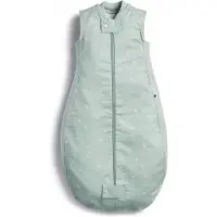 Distrilink Ergopouch - Slaapzak - Sage 0,3 Tog - 2-4y