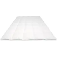 Cassenz REMBRANDT | donzen dekbed | 100% ganzendons | Herfst | warmteklasse 3 - 140/220cm - 420gr.
