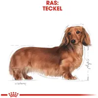 Royal Canin - Hondenvoer Droog Dachshund Adult - 500 gr