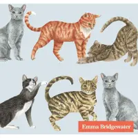 IHR - CATS light blue - papieren cocktail servetten
