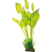 Superfish Aquarium Decoratie Kunstplant Echinodorus Groen 8 X 12 X 40 Cm