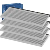 Alapure 4x CleanAir Koolstoffilter voor Bosch 17006590 / DWZ1IT1B4