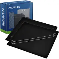 Alapure 2x Koolstoffilter voor Type 45 / AMC036 / 484000008785 / C00385610