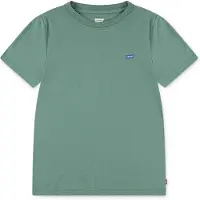 Levi's Shirt groen
