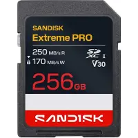 SanDisk Extreme PRO SDXC 256GB 170MB/s