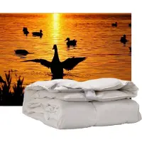 ISleep Donzen Dekbed - Enkel - 100% Dons - Warmteklasse 1 - Eendendons - Litsjumeaux XL - 260x220 cm