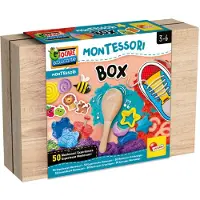 Lisciani Educatief Spel Lisciani Giochi Montessori Box (FR)