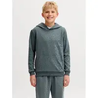 Jack & jones Junior Sweatshirt 'JJEBradley' basaltgrijs