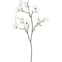 Easyplants | Kunsttak Magnolia kleinbloemig 89 cm wit | Zijde | Nepbloemen | wit | Onderhoudsvrij | Kant-en-klaar