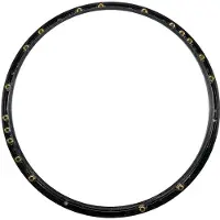 Raymarine Mkii Wheel Drive Spare Belt Zwart ST4000