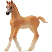 Schleich Horse Club - 13984 Arabisch veulen