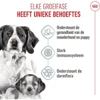 Royal Canin - Hondenvoer Droog Mother & Baby Medium Starter - 1 kg
