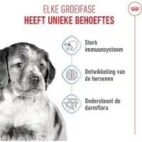 Royal Canin MEDIUM Puppy Welpenfutter trocken für mittelgroße Hunde 30 kg (2 x 15 kg)
