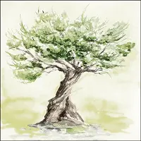 Ambiente Lunch Servetten Olive tree - - 33x33 cm