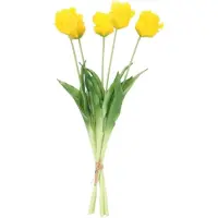 House of Nature Tulpen boeket geel met franjes