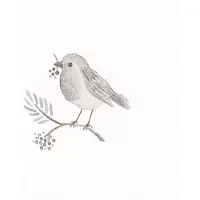 Clayre & Eef Servetten Papier Set van 20 33x33 cm Wit Papier Vogel
