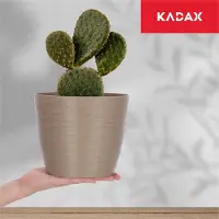 Kadax Bloempot van kunststof, diameter 11-19 cm, 7 kleuren, eenvoudige plantenpot, moderne plantenbak, robuuste bloempotbescherming, ronde pot, diameter 17 cm, beige