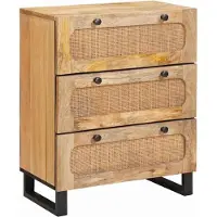 vidaXL Dressoir 60 x 33 x 75 cm Massief Mango Hout Bruin