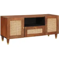 vidaXL TV Kast Bruin 105 x 33,5 x 46 cm Massief Mango Hout