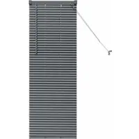 vidaXL Venetiaanse jaloezie Donkergrijs 130 x 50 cm 25 mm Aluminium
