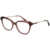 Ana Hickmann Brilframe AH6506 G22 54