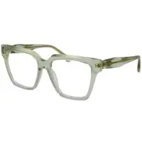Ana Hickmann Brilmontuur AH6522 C01 55
