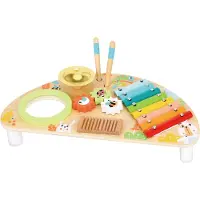Tooky Toy Houten Muziekbord met Xylofoon