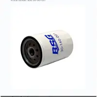 BSG 30-140-001 Oliefilter
