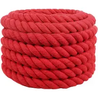 vidaXL Katoenen Touw 36 mm 10 m Rood 100% katoen