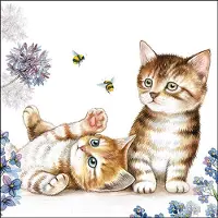 Ambiente Lunch Servetten Cats and Bees - - 33x33 cm