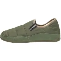 Verbenas Huisschoen 'Ernest' groen