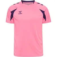 Hummel Functioneel shirt 'Core 2.0' braam / lichtroze