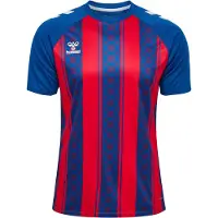 Hummel Functioneel shirt 'Match' blauw / bloedrood / wit
