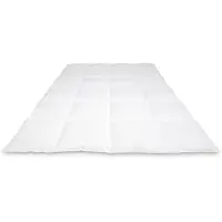 Cassenz REMBRANDT | donzen dekbed | 100% ganzendons | Winter - warmteklasse 2 - 200/220cm - 750gr.