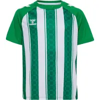 Hummel Functioneel shirt groen / wit