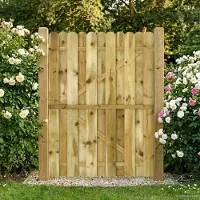vidaXL Tuinpoort 100 x 150 cm Massief grenenhout Groen