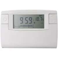 EverFlourish – Thermostaat – Elektronisch – 3 standen – LCD