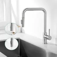 CECIPA MAX Premium Keukenkraan - Keukenkraan met Flexibele Handdouche - Hoge Uitloop - 2 Straalstanden - RVS 304 Geborsteld - Zilver