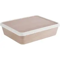 Aps Lunchbox SERVING BOX L, 300 x 250 x 80 mm, wit/beige Materiaal: melamine/silicone, deksel en doos, Opbergblikken, Beige